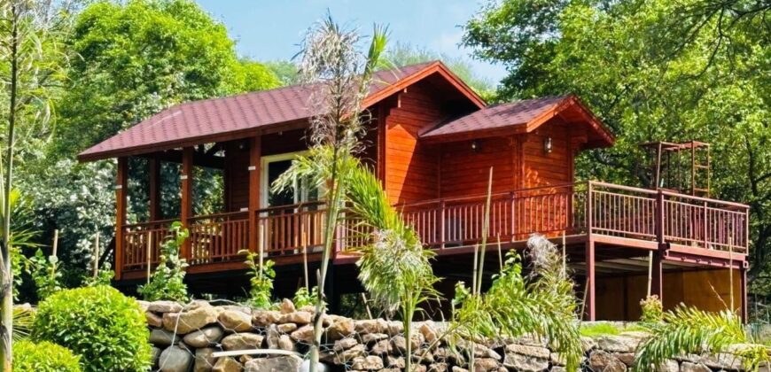 Luxury Farm House in Chandigarh