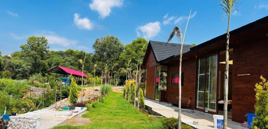 Luxury Farm House in Chandigarh