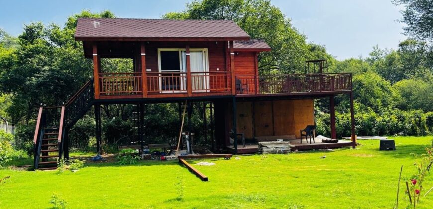 Luxury Farm House in Chandigarh