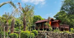 Luxury Farm House in Chandigarh