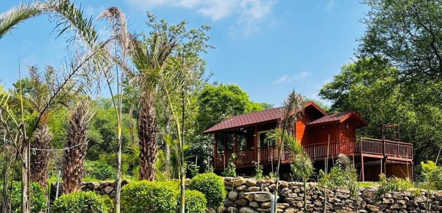 Luxury Farm House in Chandigarh