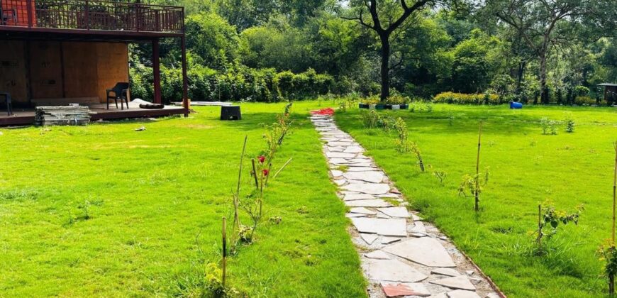 Luxury Farm House in Chandigarh