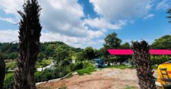 Luxury Farm House in Chandigarh