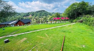 Luxury Farm House in Chandigarh Luxury Farm House in Chandigarh