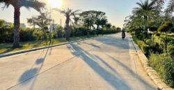 Manohar Singh & co. 289sq. yard plot for sale, New Chandigarh