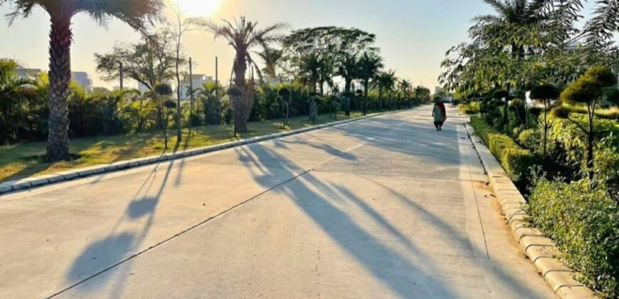 Manohar Singh & co. 289sq. yard plot for sale, New Chandigarh