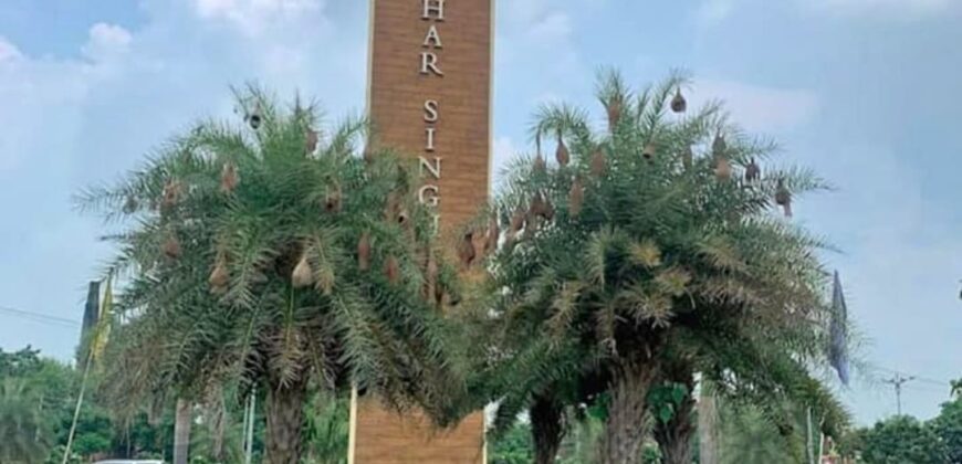 Manohar Singh & co. 289sq. yard plot for sale, New Chandigarh