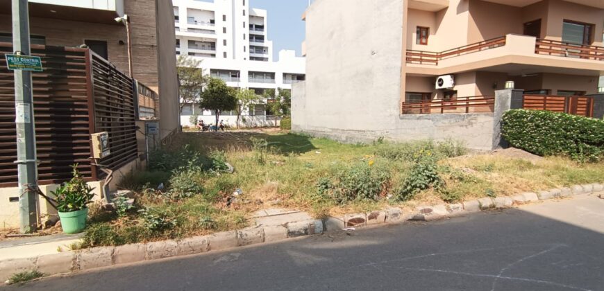 Plot For Sale Plot For Sale